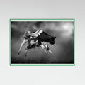 Mint Wood Bucking Calf Ride Poster