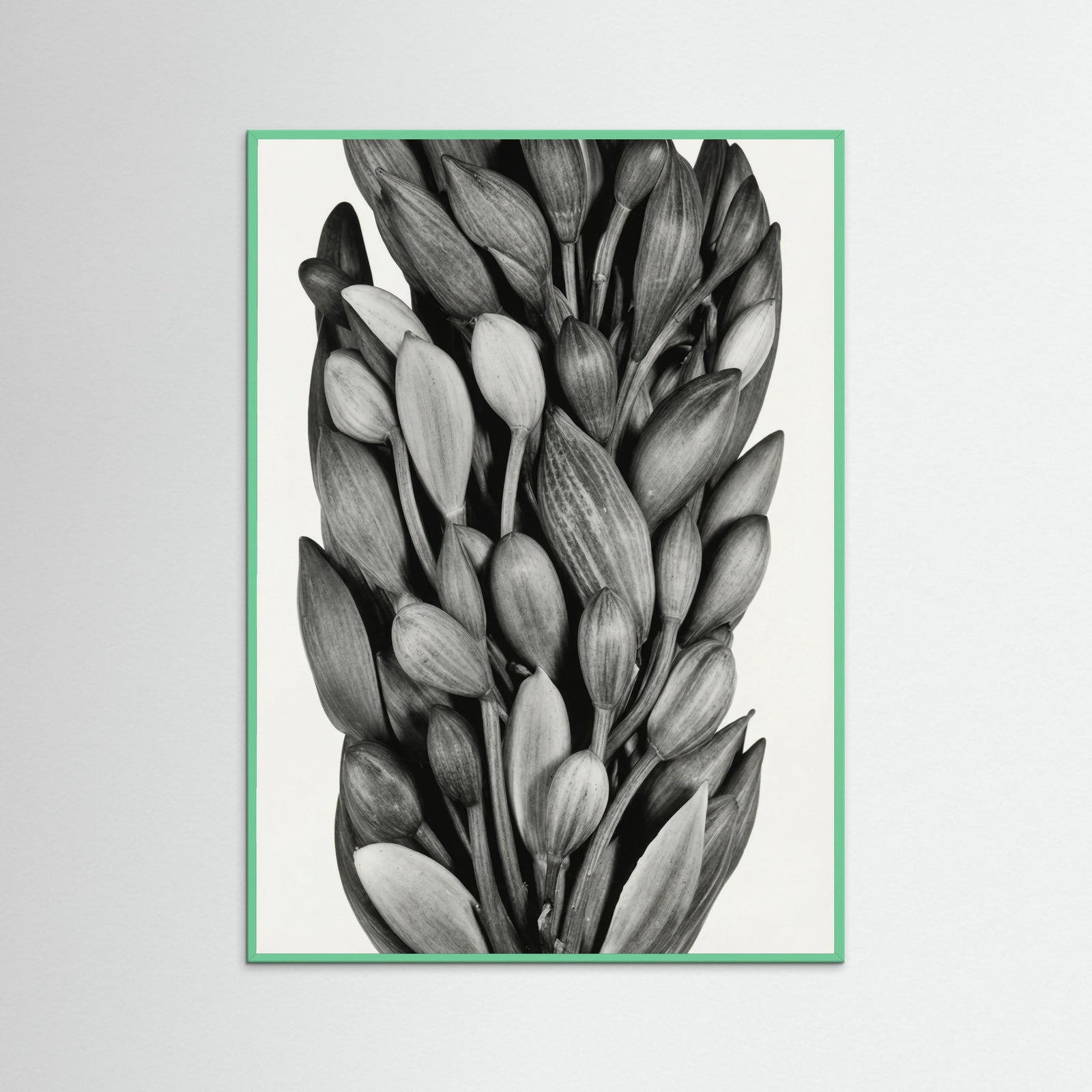 Mint Wood Budding Forms