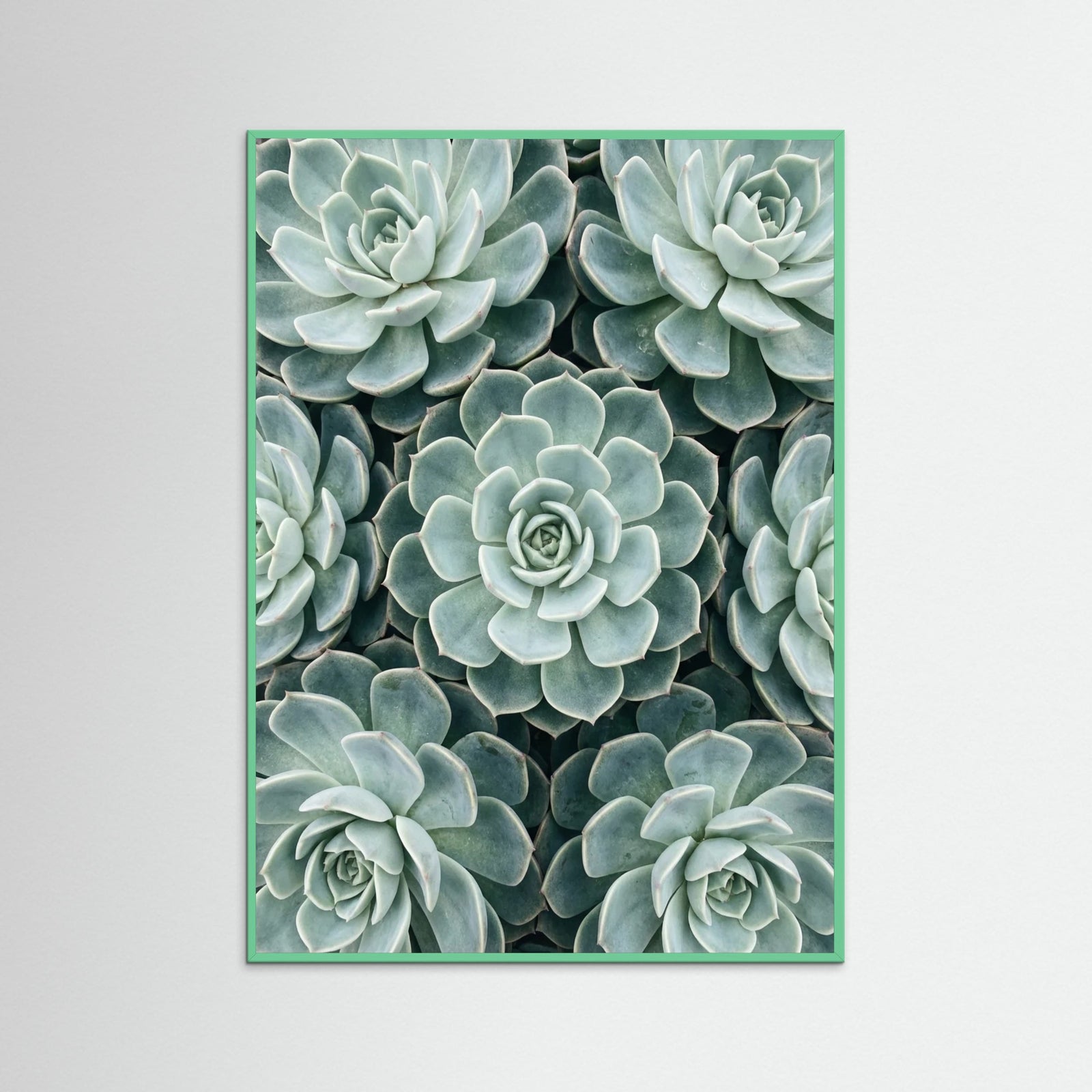 Mint Wood Cactus Array
