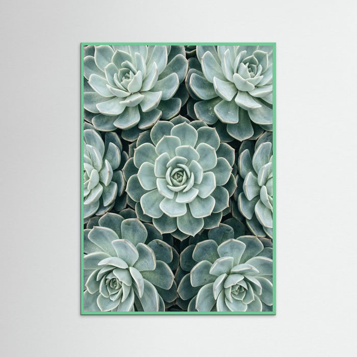 Mint Wood Cactus Array