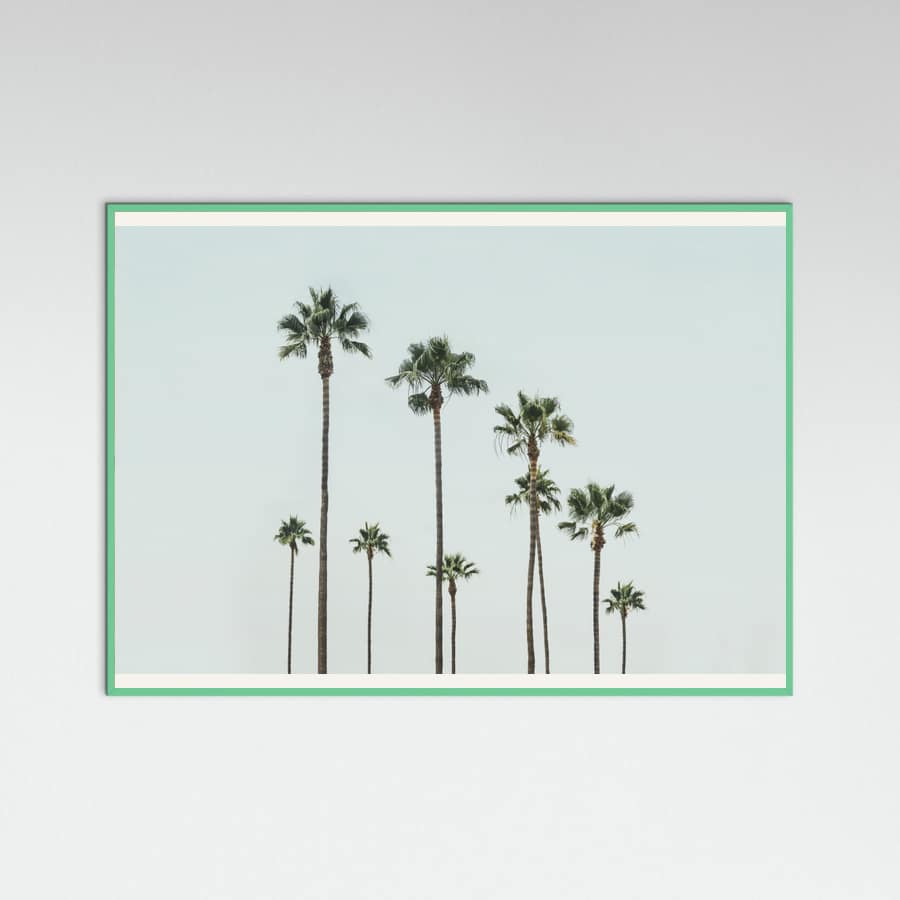 Póster Cali Palms – póster e impresión artística