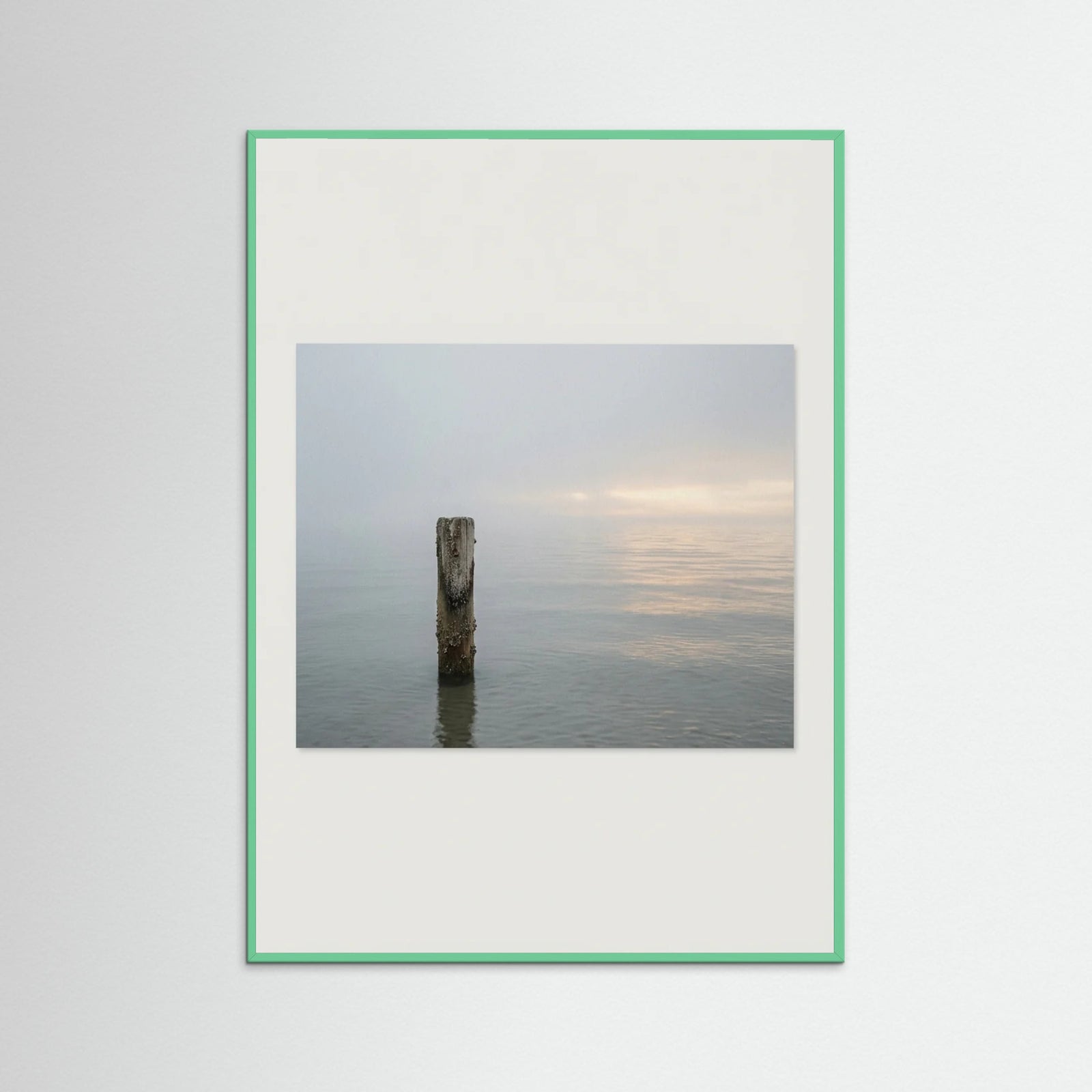 Mint Wood Coastal Paths