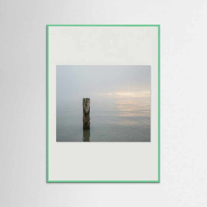 Mint Wood Coastal Paths
