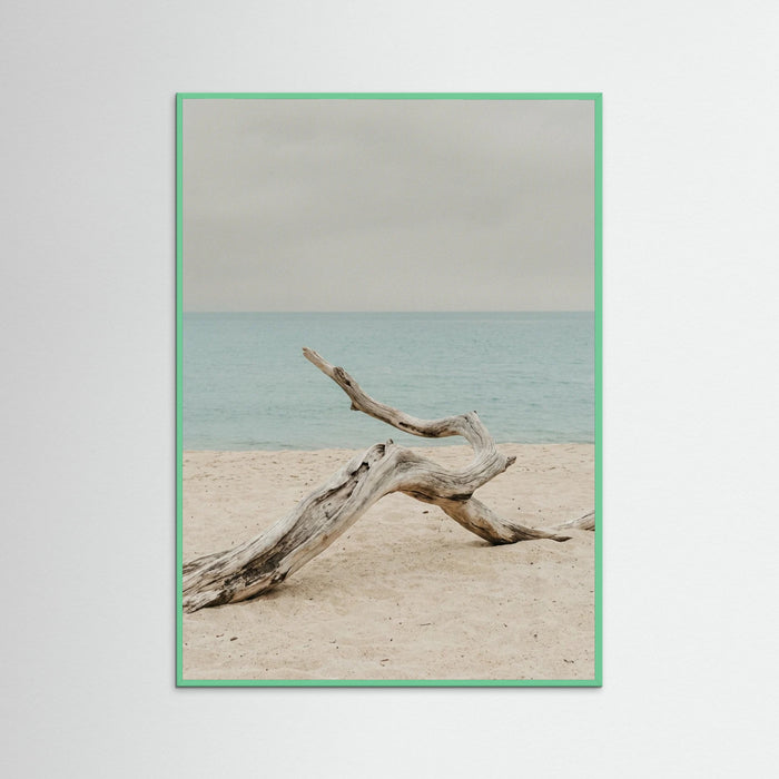 Mint Wood Coastal Seren