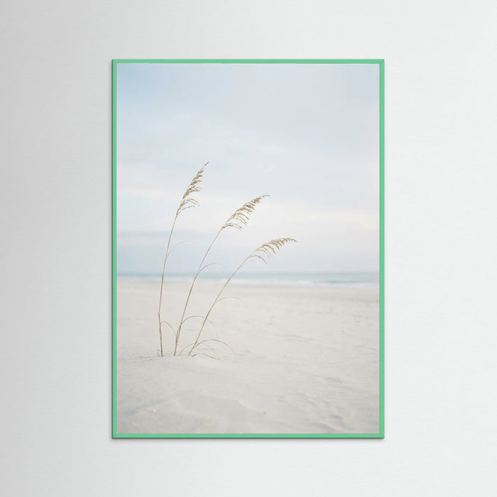 Mint Wood Coastal Serenity