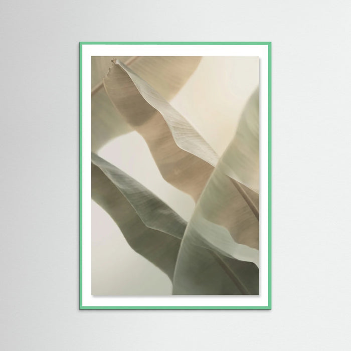 Mint Wood Coastal Whisper