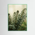 Mint Wood Crimson Bloom