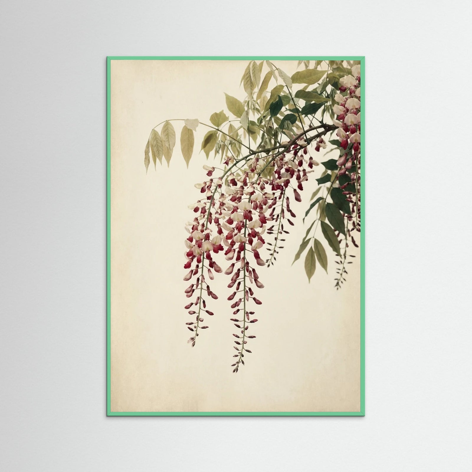 Mint Wood Crimson Bloom