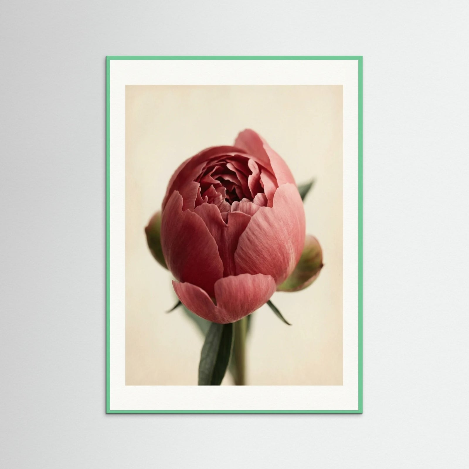 Mint Wood Crimson Trio