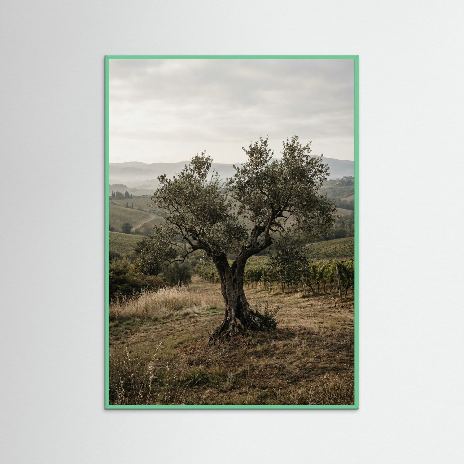 Mint Wood Cypress Path