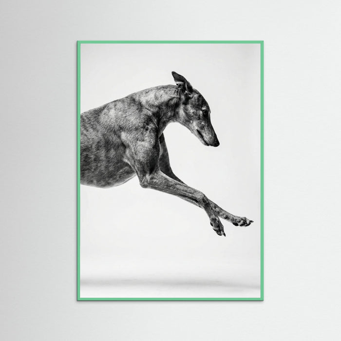Mint Wood Dancing Stripes
