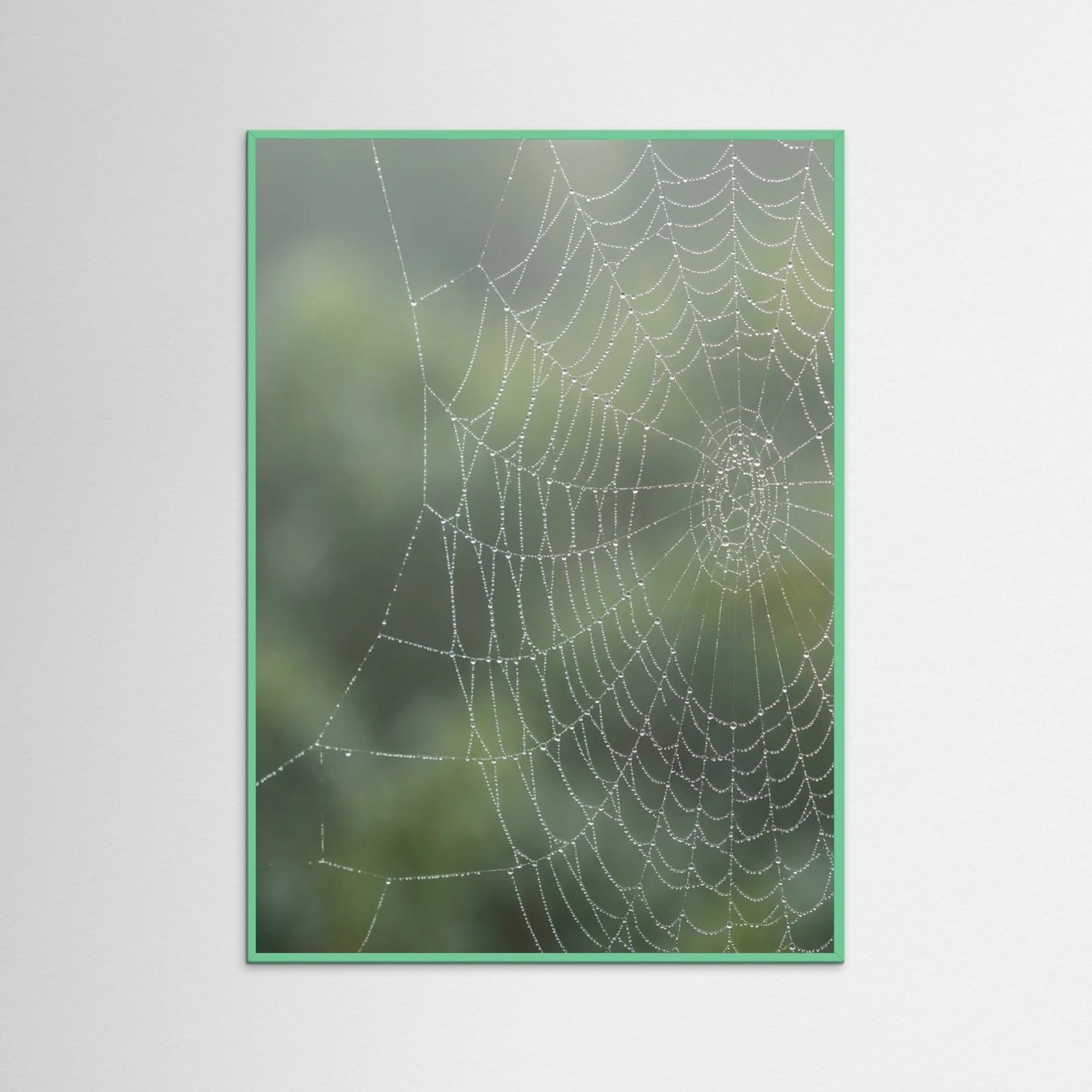 Mint Wood Dew Kissed