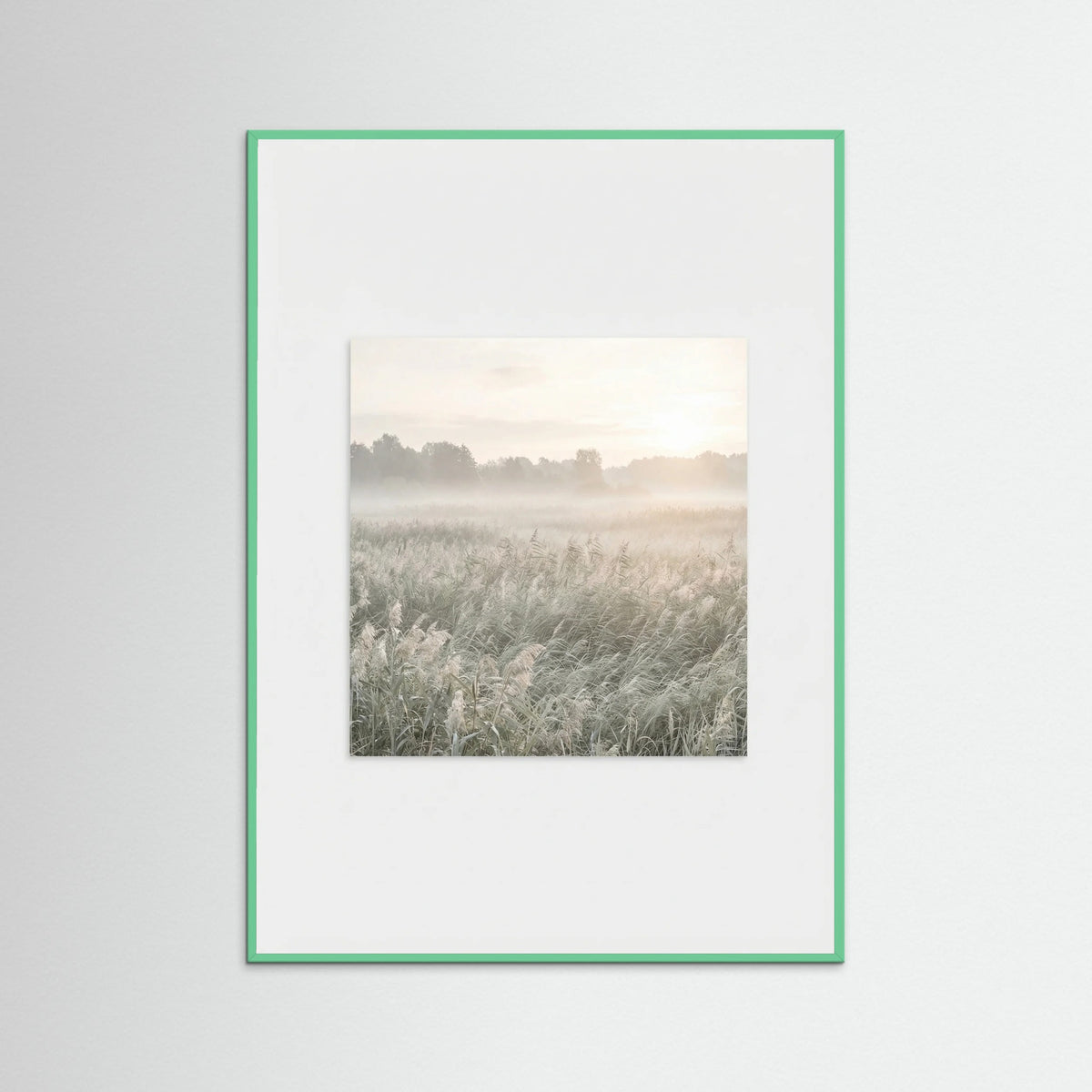 Mint Wood Dune Sunset Serenity