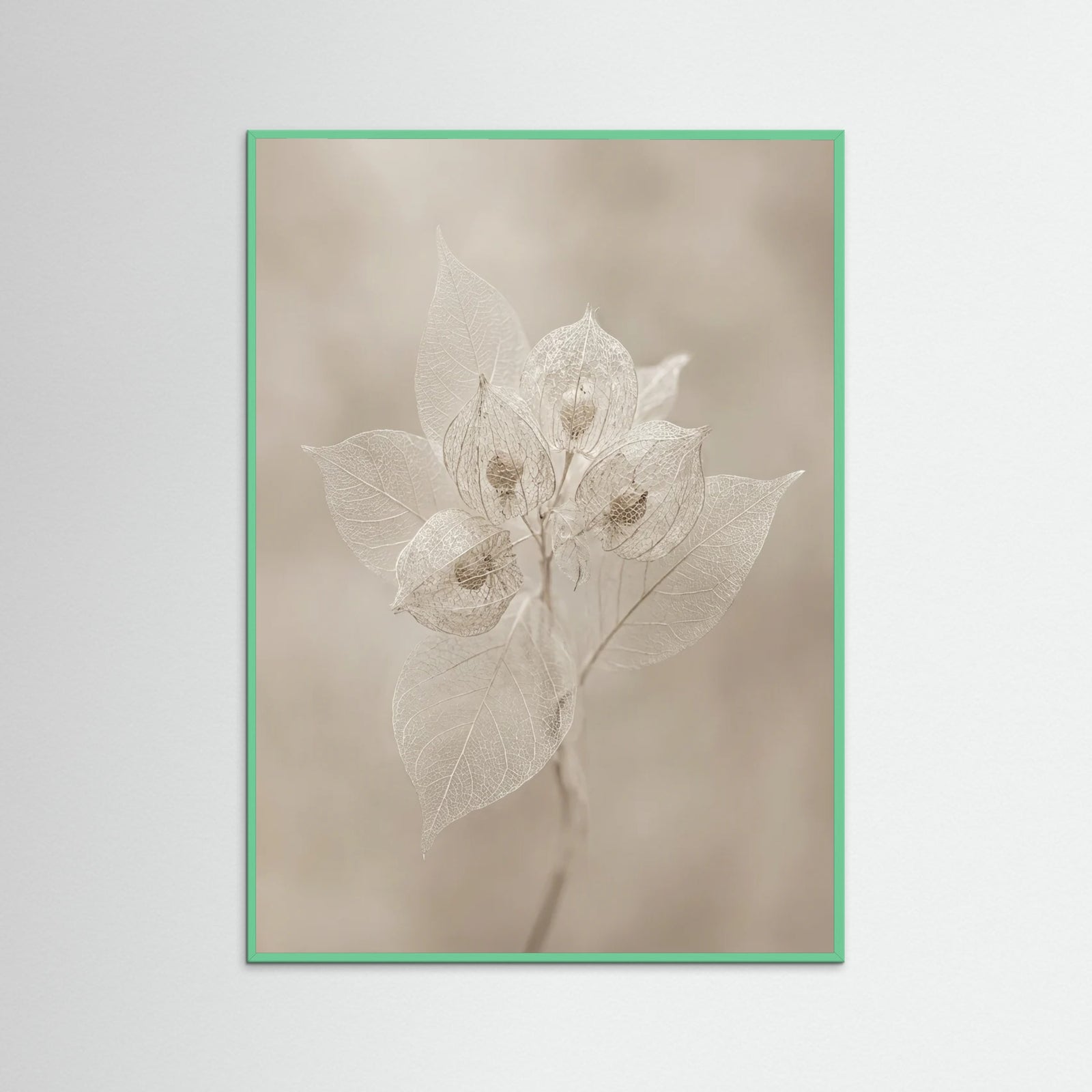 Mint Wood Ephemeral Bloom