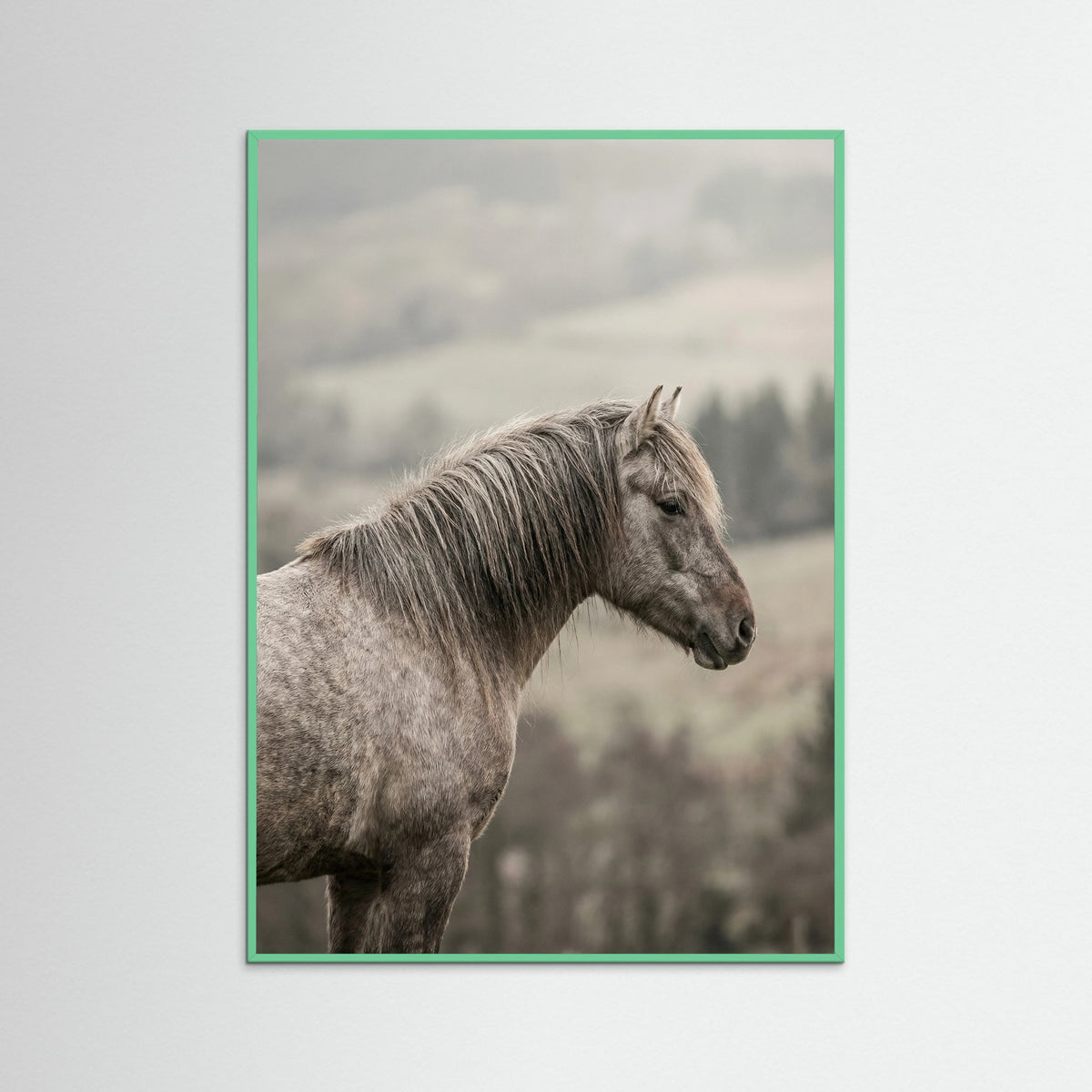 Mint Wood Equine Companions