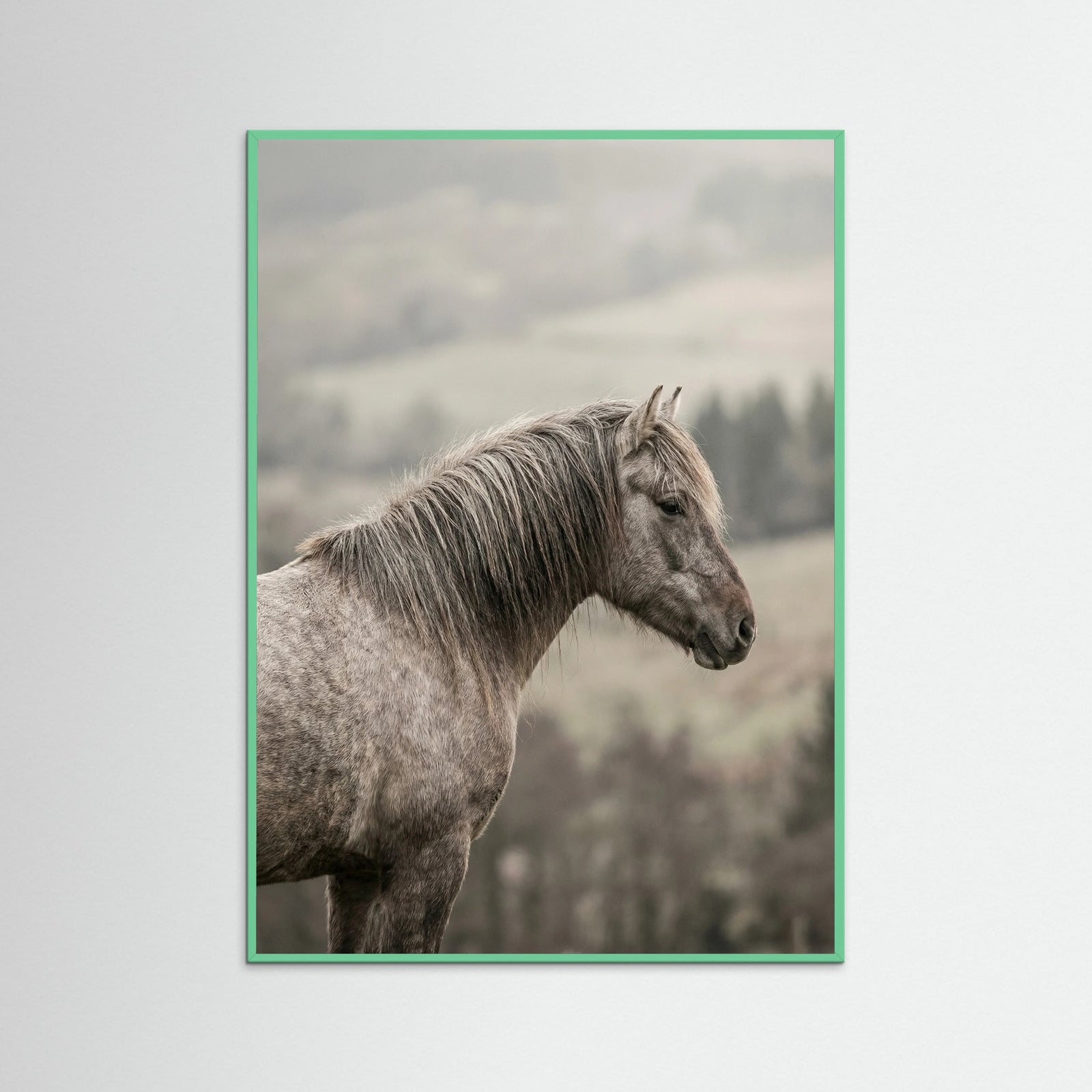 Mint Wood Equine Companions