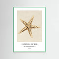 Affiche Estrella De Mar – affiche et impression d’art