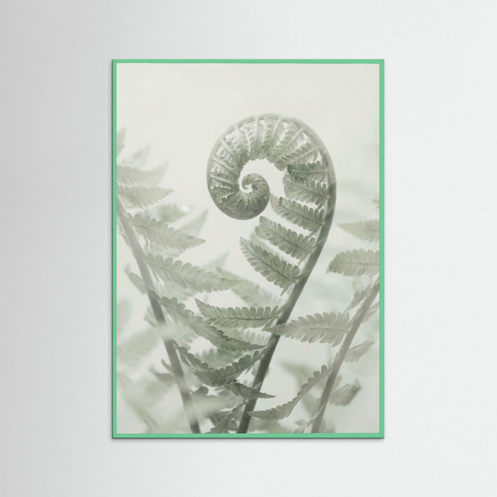 Mint Wood Ethereal Eucalyptus