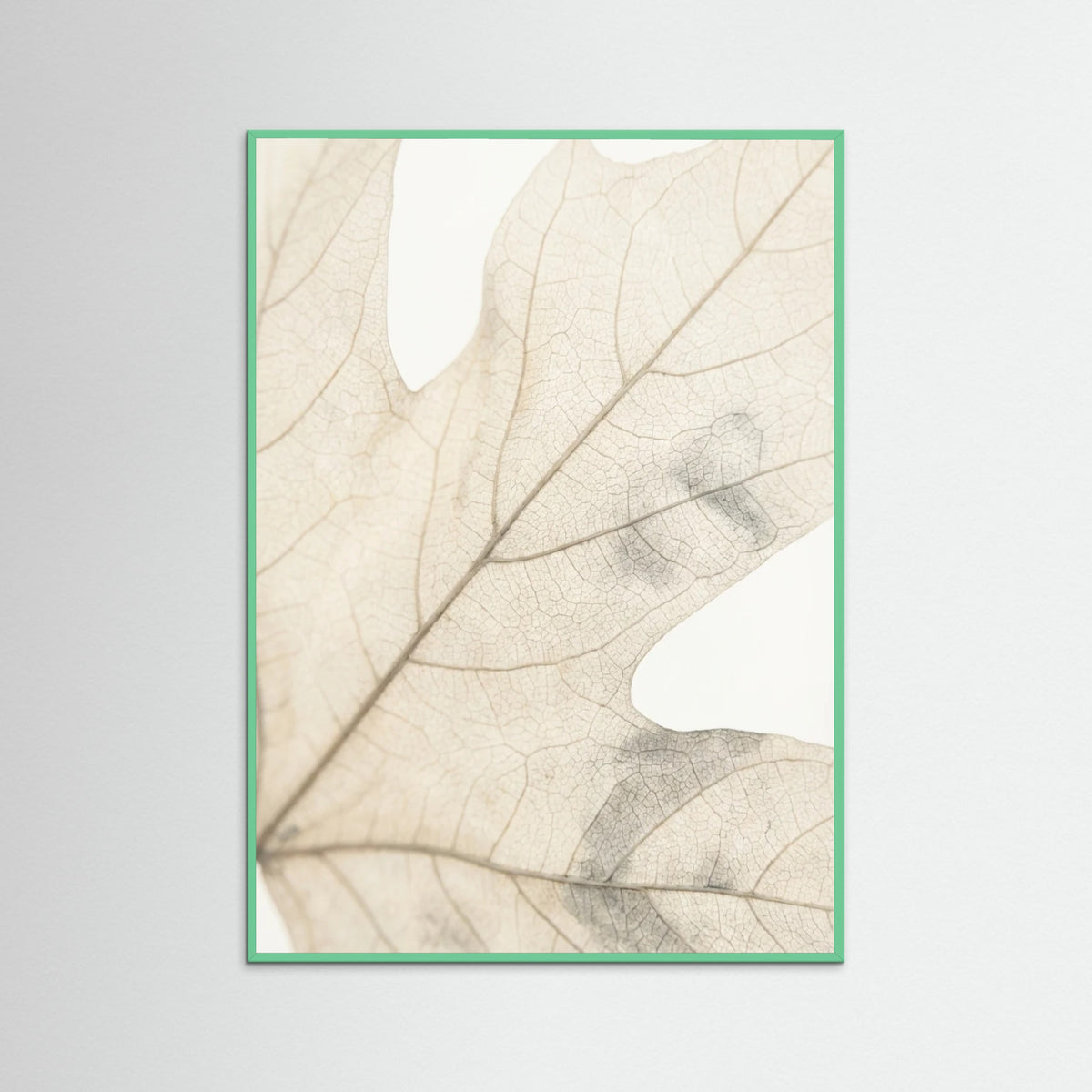 Mint Wood Faded Petals
