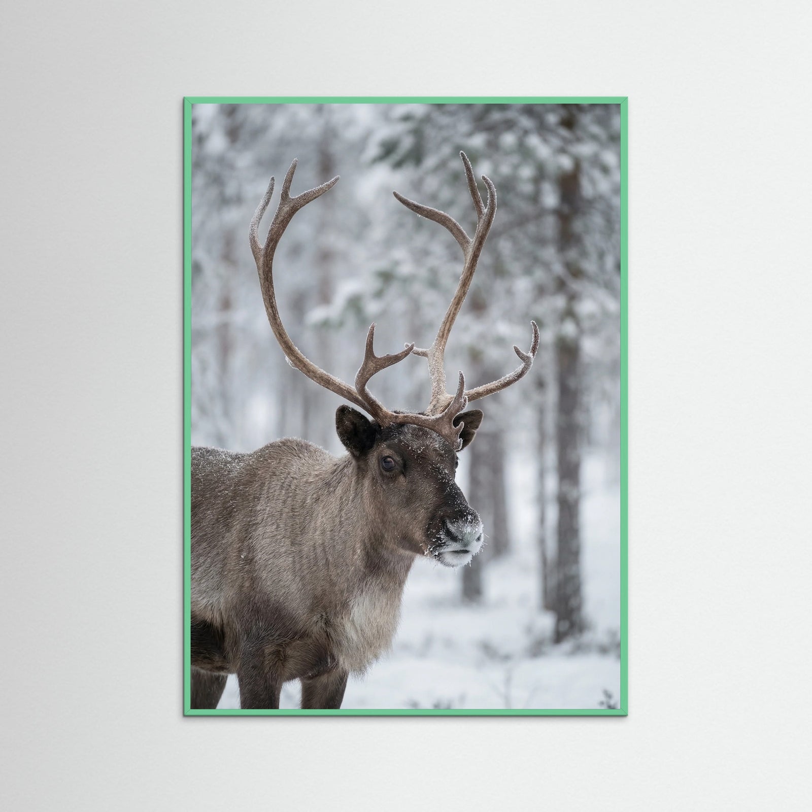 Mint Wood Frosty Highlands