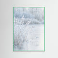 Mint Wood Frozen Reflections