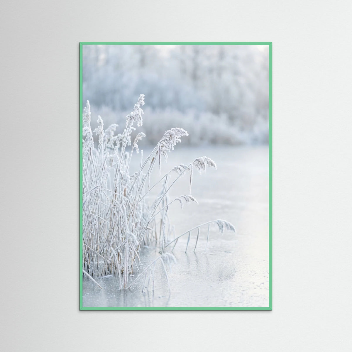 Mint Wood Frozen Reflections
