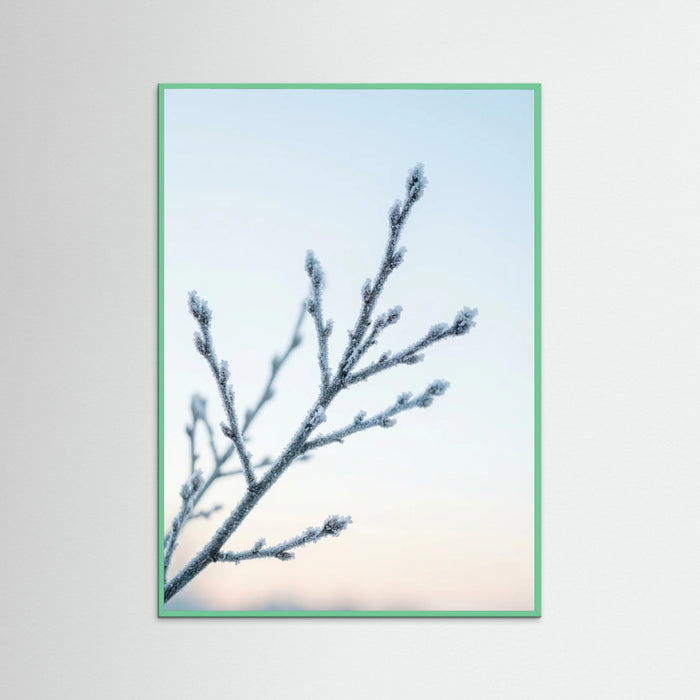 Mint Wood Frozen Whisper