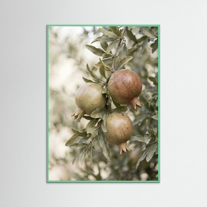 Mint Wood Green Olives