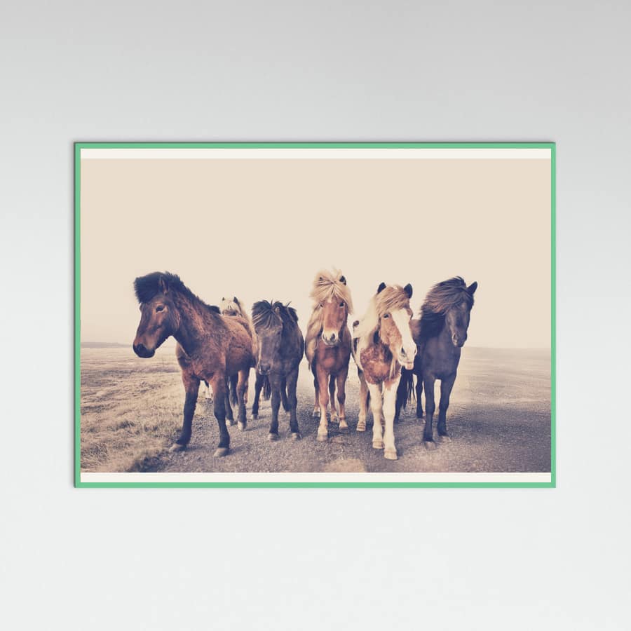 Poster Horses – poster e stampa artistica