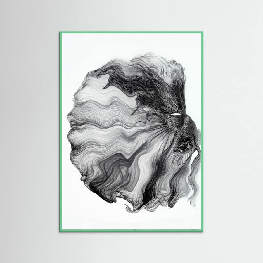 Plakat INK BETTA – plakat i druk artystyczny