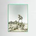 Mint Wood Joshua Tree National Park Vintage Impression Poster
