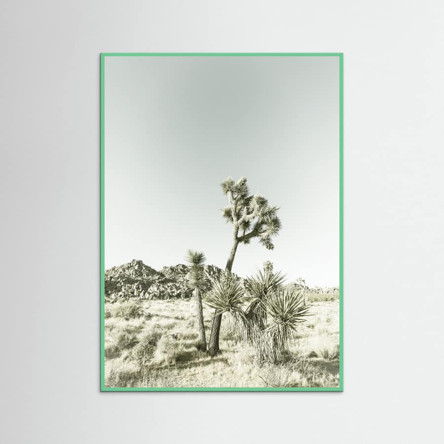Mint Wood Joshua Tree National Park Vintage Impression Poster