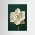 Mint Wood Lilac Iris Bloom