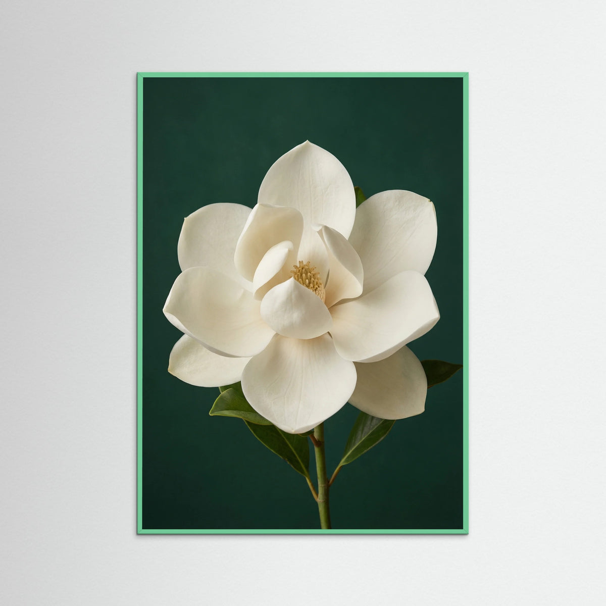 Mint Wood Lilac Iris Bloom