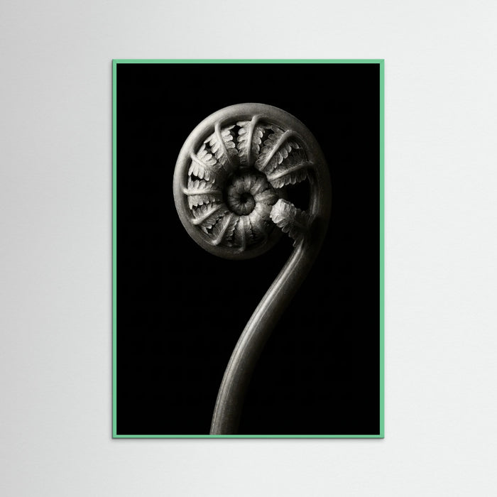 Mint Wood Luminous Curve