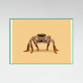 Mint Wood Lydia the Leggiest Cowgirl Spider Poster