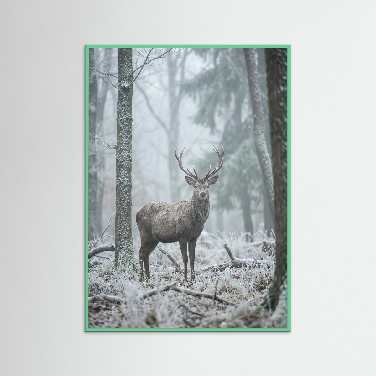 Mint Wood Misty Bear Wanderer