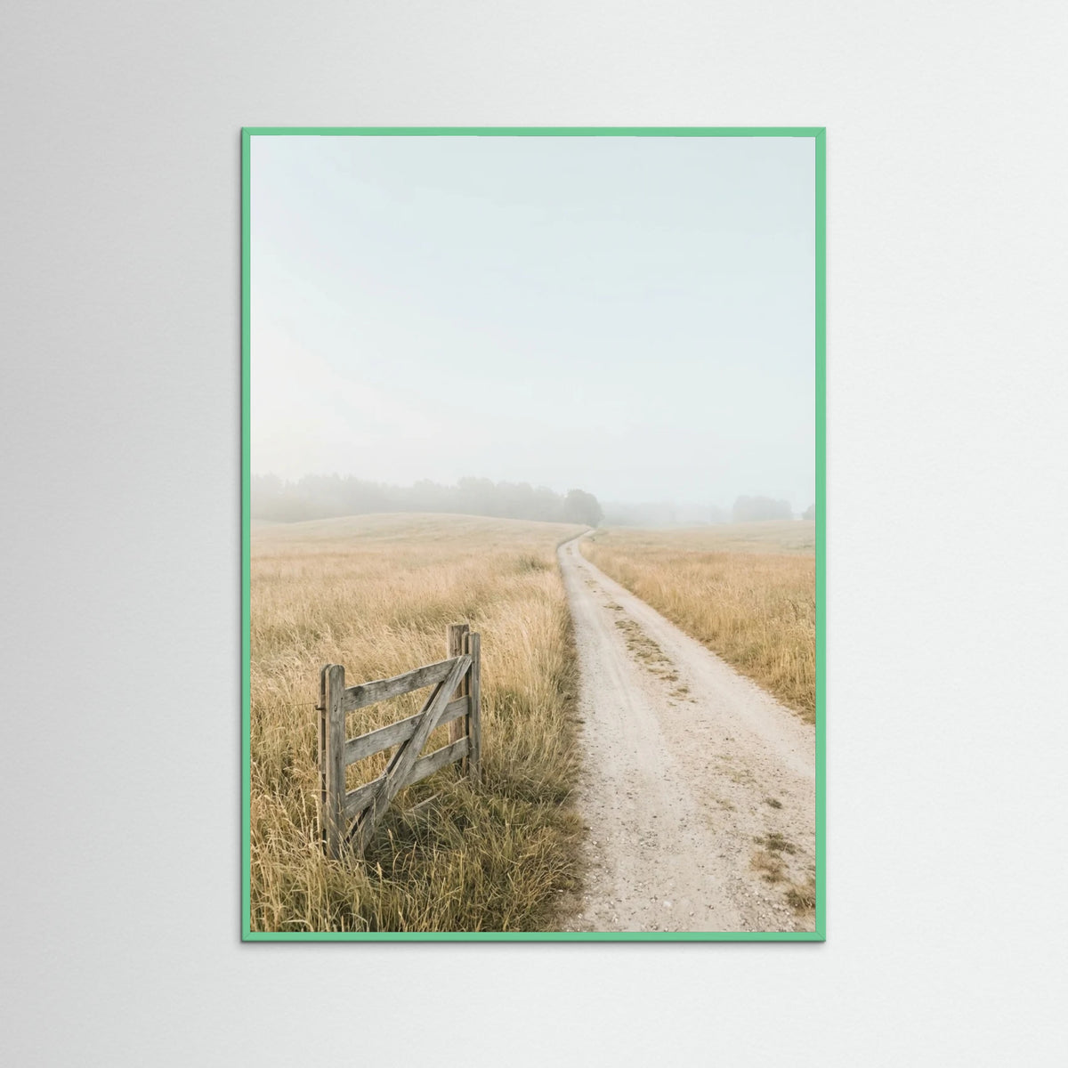 Mint Wood Misty Coastal Path