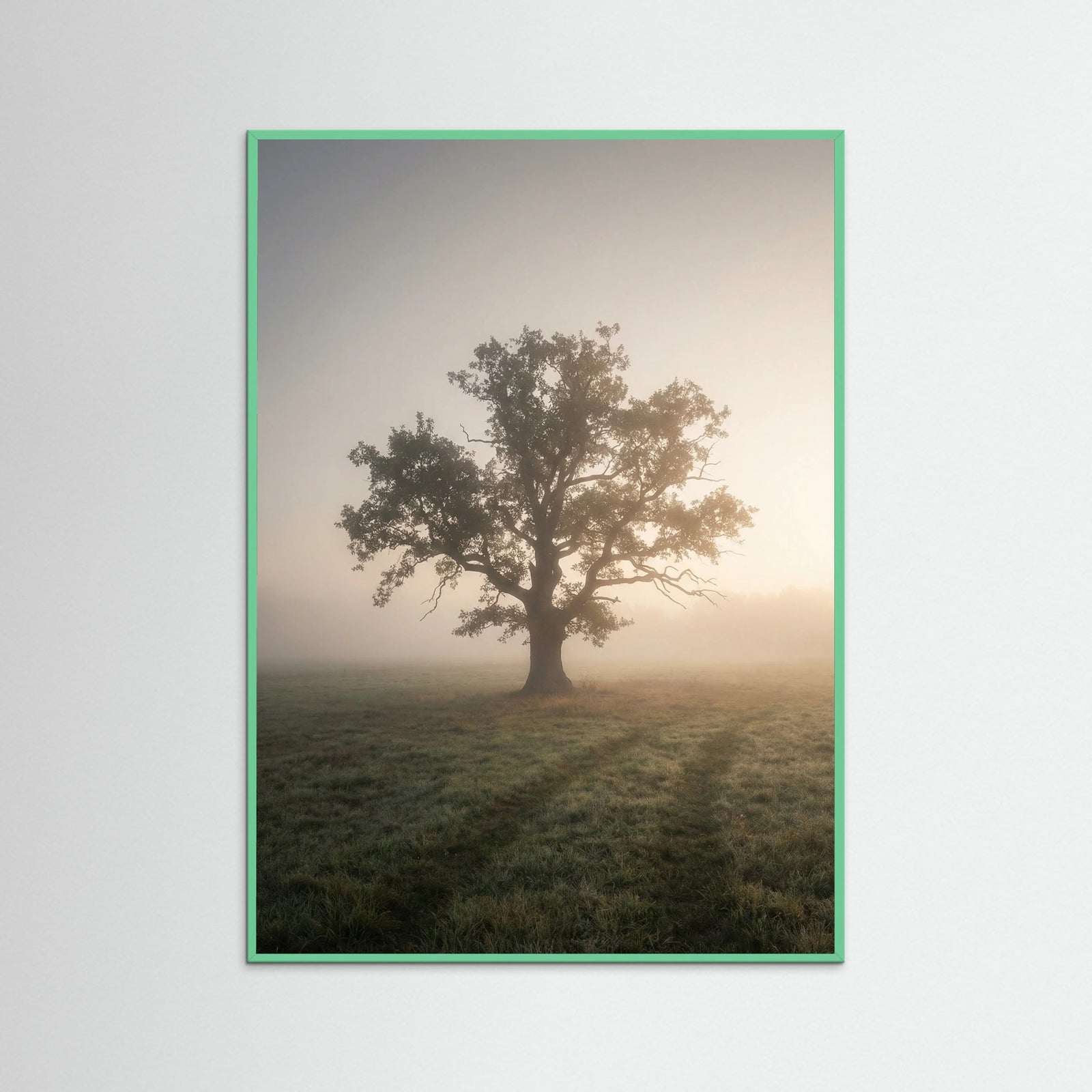 Mint Wood Misty Forest Road