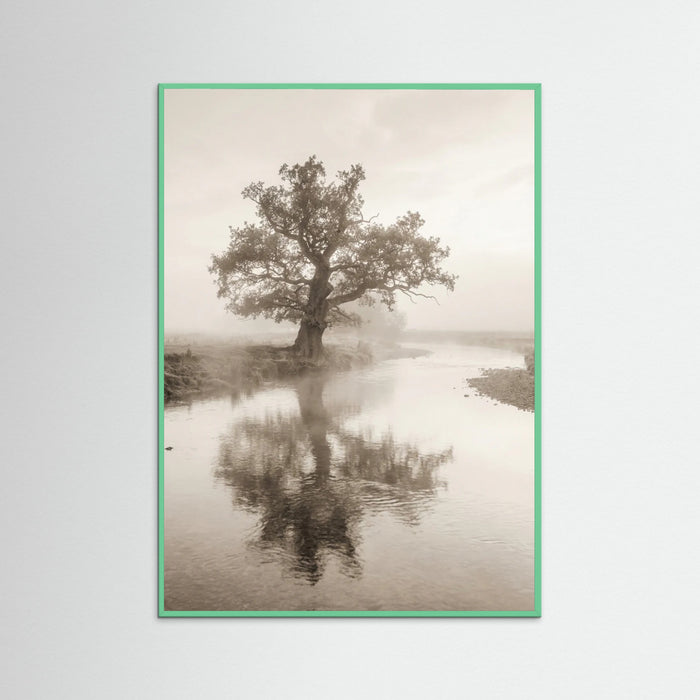 Mint Wood Misty Mountain Serenity