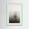 Mint Wood Misty Solitude