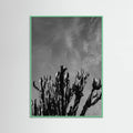 Mint Wood Monochrome Cactus Sky Poster