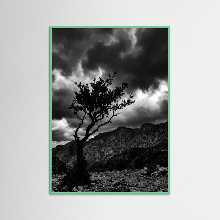 Mint Wood Monochrome Seascape