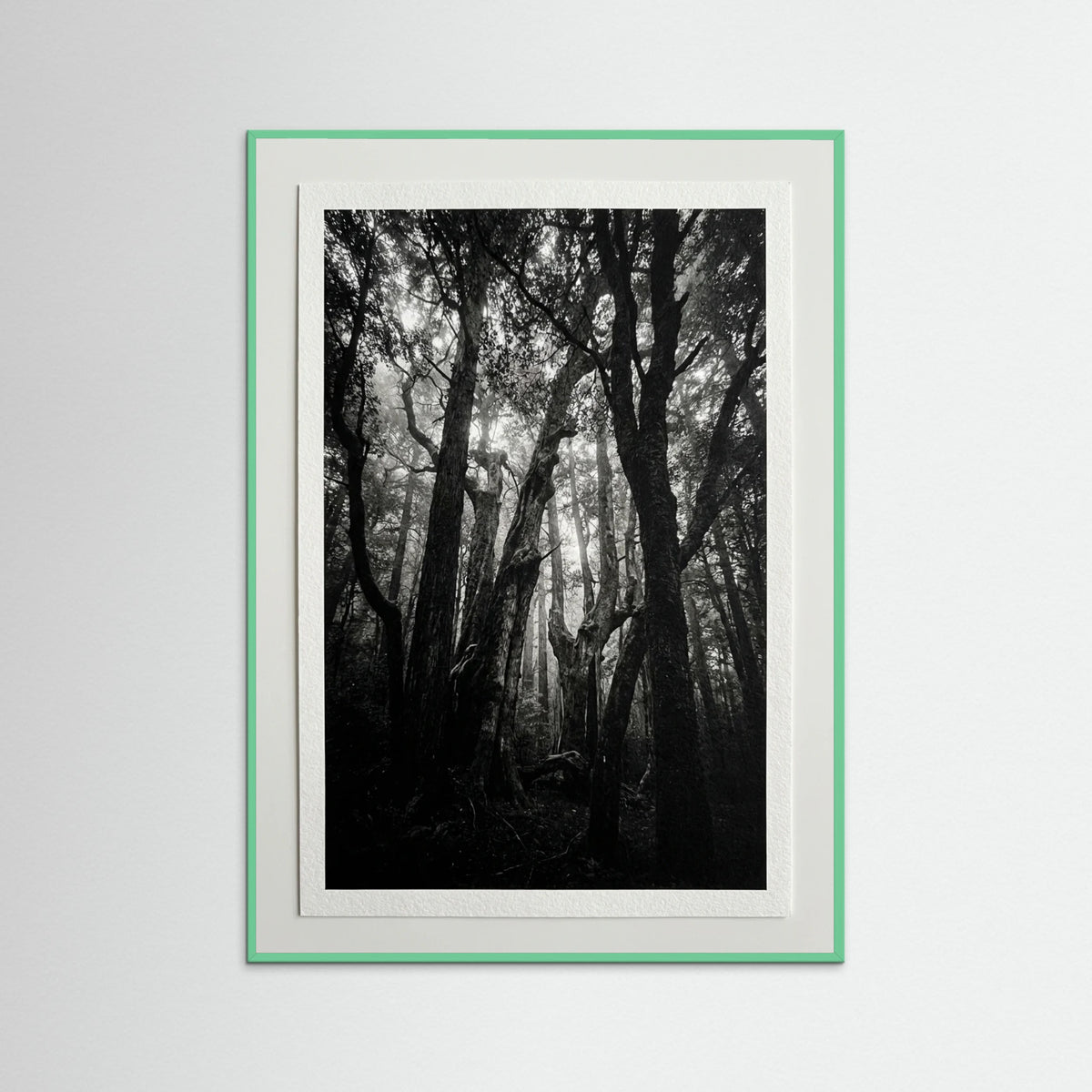 Mint Wood Monolith Coast