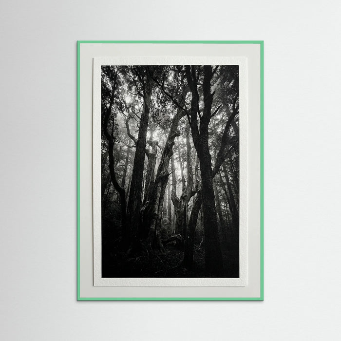 Mint Wood Monolith Coast
