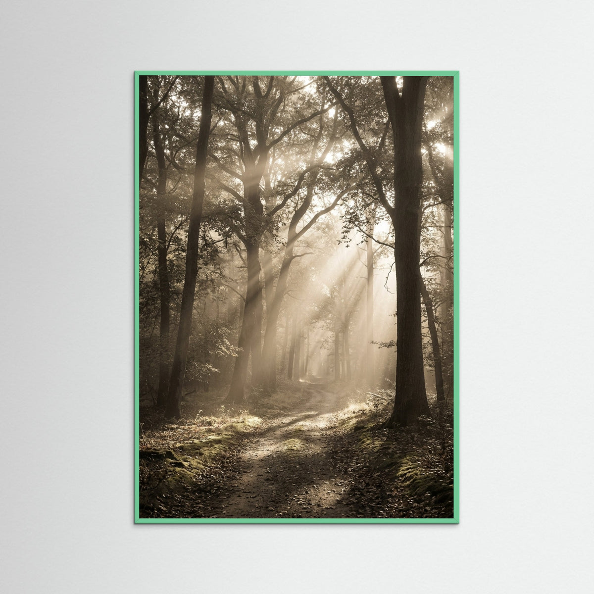 Mint Wood Morning Radiance