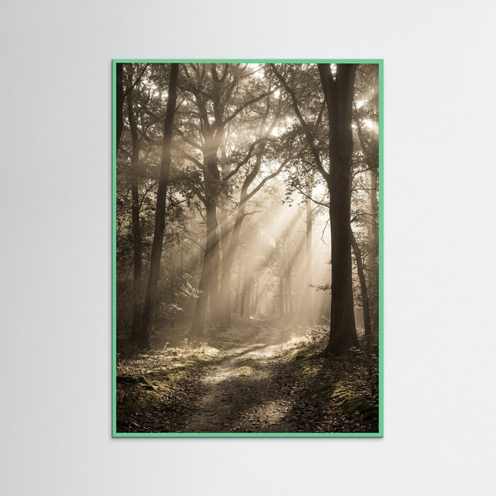 Mint Wood Morning Radiance