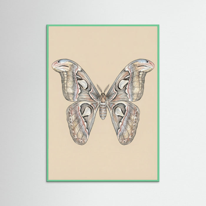 Mint Wood Nocturnal Elegance