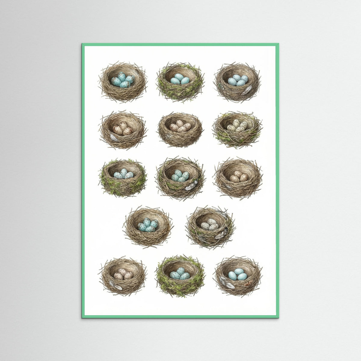 Mint Wood Nordic Avian Studies