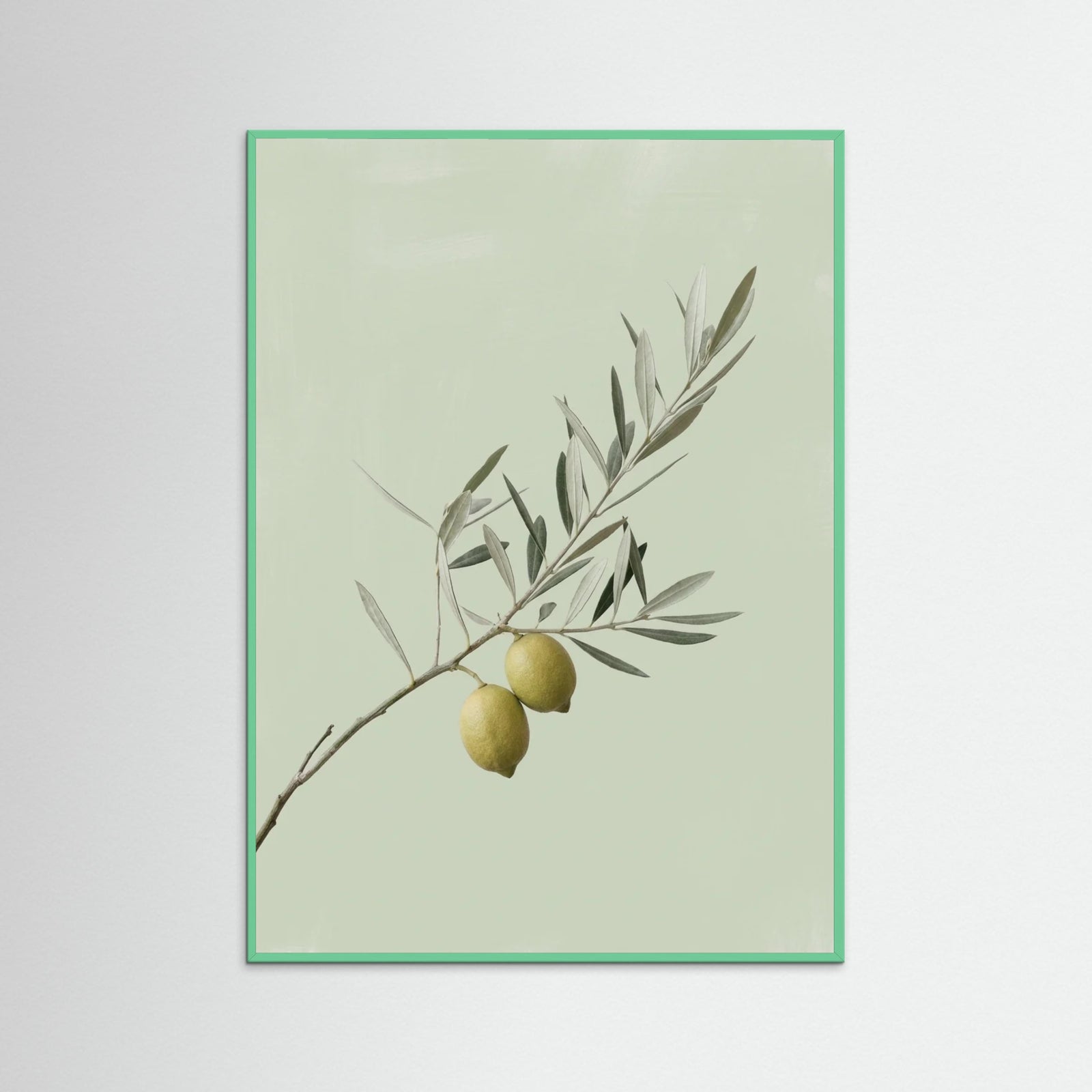 Mint Wood Olive Branch Serenity